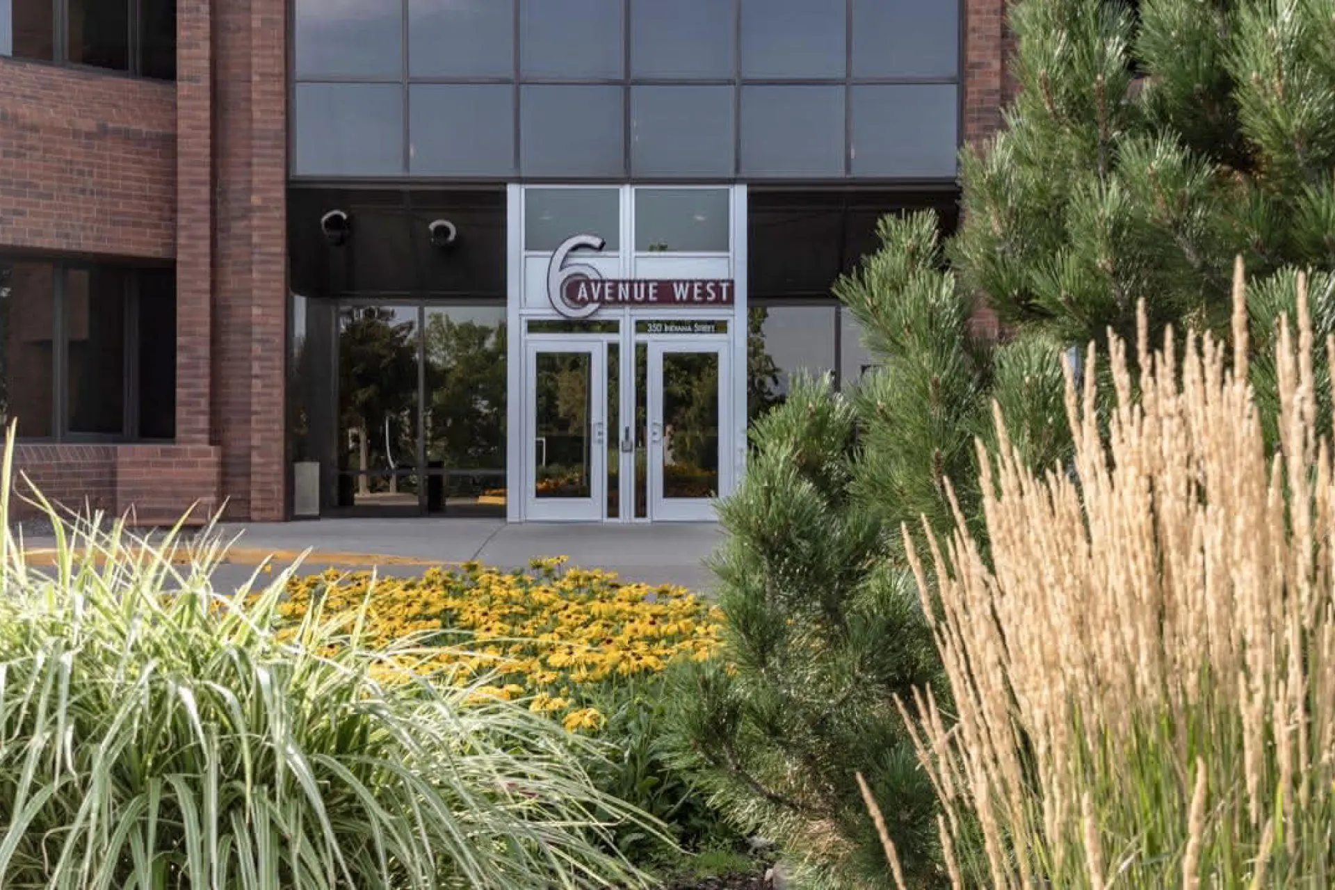 The office in Golden, CO from behind plants