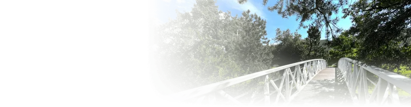 A bridge near the south Denver office